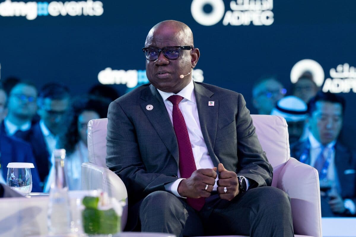 Nigeria State Oil Firm Advances IPO Plans After Dangote Success