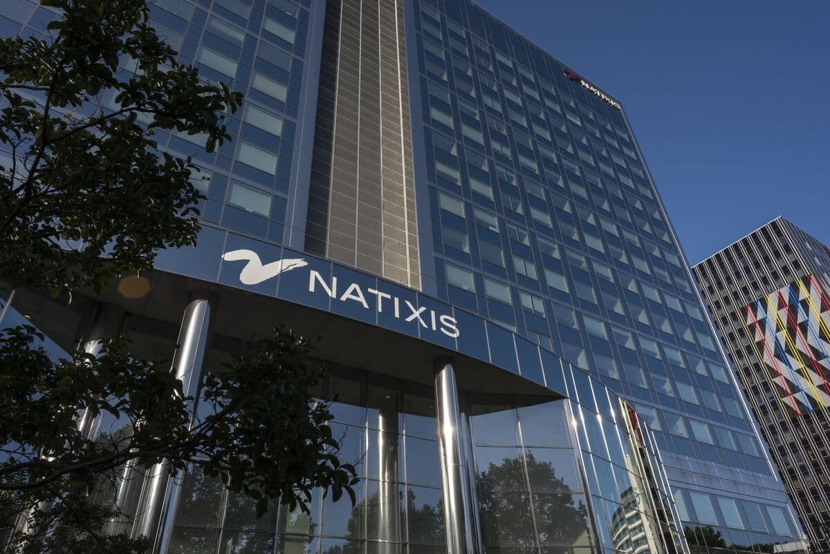 Natixis Buys Japanese Advisory Firm to Join M&A Dealmaking Boom